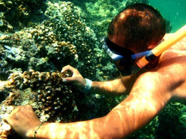  snorkeling and curiosity 